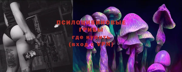 МДПВ Абдулино