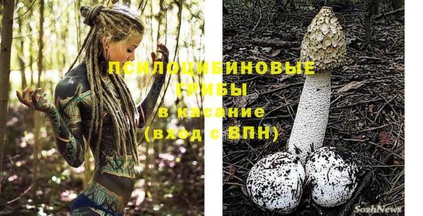 МДПВ Абдулино