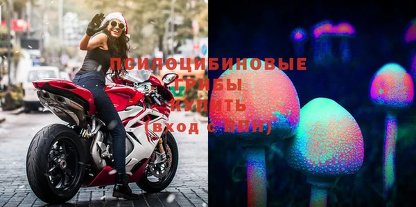 ешки Абаза